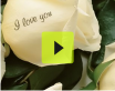 Everyday Romance